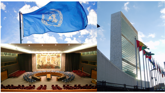 photo vignette article.png